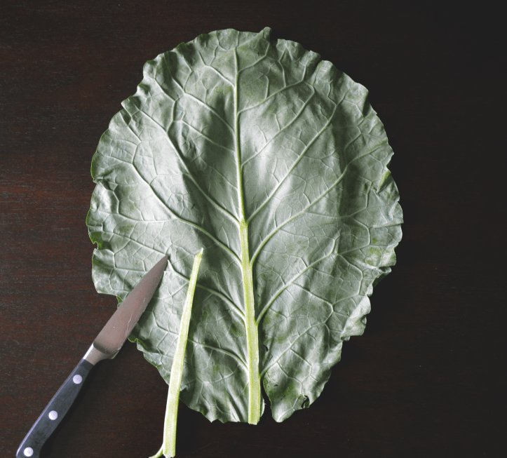 OLLARD Green Banh Mi Vietnamese Sandwich WRAP5